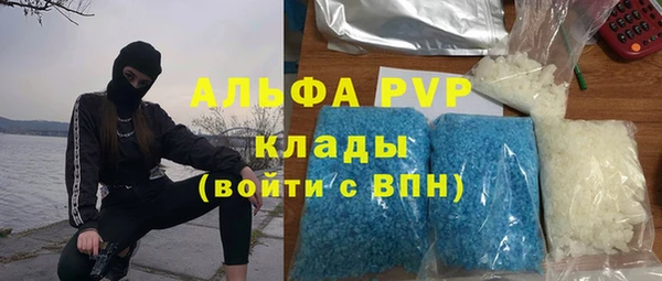 a pvp Аркадак