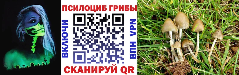 Галлюциногенные грибы Psilocybine cubensis  как найти наркотики  гидра ссылки  Ликино-Дулёво 