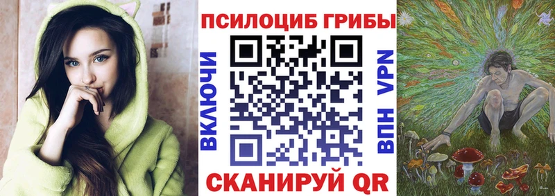 Галлюциногенные грибы Psilocybe Ликино-Дулёво